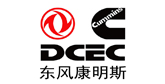 康明斯發(fā)電機(jī)拉缸故障